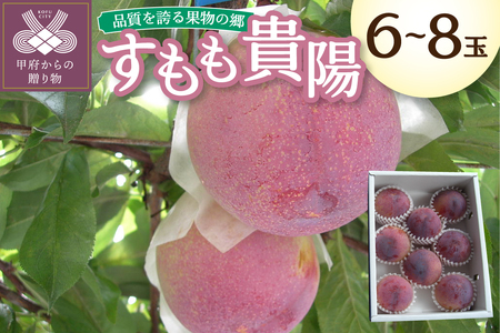 〈2026年度配送分〉すもも「貴陽」 6-8玉（約1.5kg）（2026年7月上旬～下旬にかけて順次配送予定）