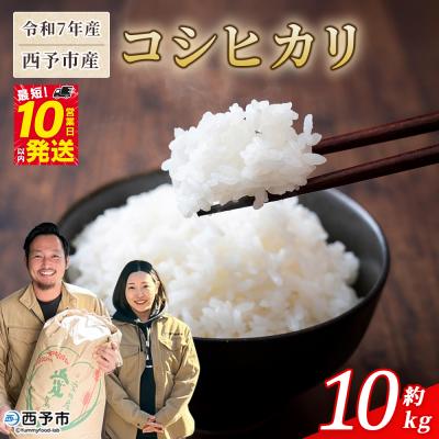 ふるさと納税 西予市 <令和7年産 西予市産 コシヒカリ10kg> 宇都宮米穀 愛媛県産