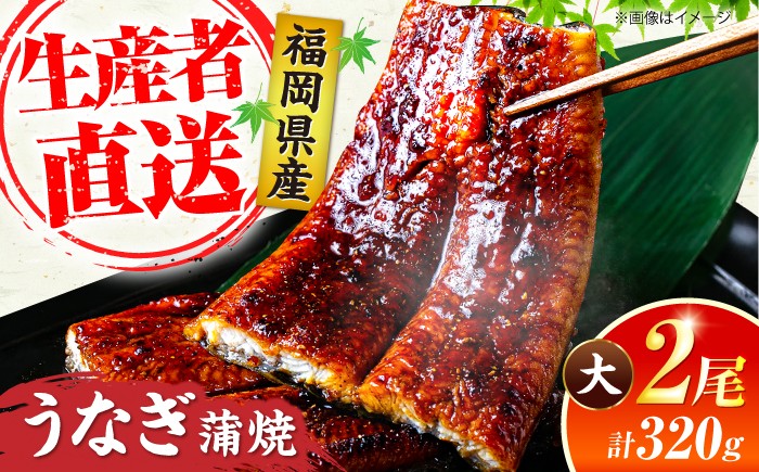 
                  国産 うなぎ 蒲焼 大2尾 合計 320g (1尾あたり 160g以上) 《豊前市》【福岡養鰻】 国産 鰻 2尾 蒲焼き うなぎ ウナギ お祝い プレゼント 贈答 ギフト うなぎ 2尾 国産鰻 人気 おすすめ 福岡産 土用の丑の日 贅沢 ご褒美 ウナギ おいしい 鰻 かばやき 高級 特別 贅沢 unagi ひつまぶし うなぎ ウナギ 鰻 九州 福岡 豊前市 [VAD002]
                