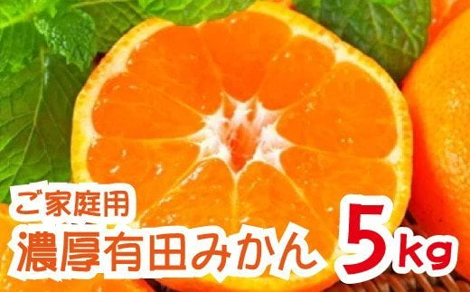 
農園直送！完熟有田みかん 5kg /みかん 蜜柑 フルーツ くだもの 果物 柑橘 　※北海道・沖縄・離島配送不可
