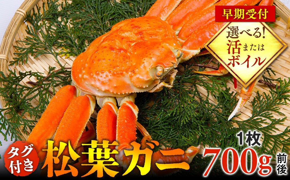 
                  【早期受付】【選べます！活またはボイル】タグ付き松葉ガニ 中1枚（700g前後）※着日指定不可※2025年11月上旬頃から順次発送予定 ｜ 蟹 かに 松葉ガニ 松葉蟹 鳥取県産 北栄町 おすすめ 人気
                