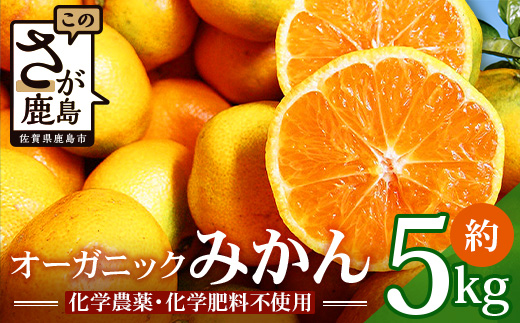 【先行受付】＼有機柑橘栽培・出荷量日本一／ オーガニック みかん 約5kg 有機栽培 佐賀県産 鹿島産 国産 B-70
