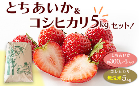 とちあいか（約300g×4パック）＆令和7年産無洗米コシヒカリ5kgセット！｜いちご 米 5キロ 尚仁沢湧水 栃木県 塩谷町 ※2025年12月中旬～2026年4月下旬頃に順次発送予定 ※北海道・沖縄・離島への配送不可
