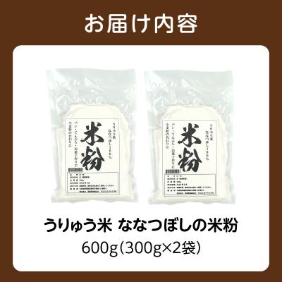 ふるさと納税 雨竜町 北海道 雨竜町産 うりゅう米 ななつぼし 米粉 600g(300g×2個) |  | 03