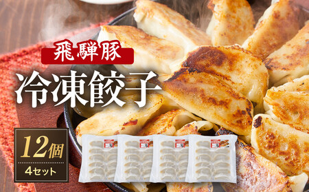 飛騨豚餃子12個入り×4セット（簡易包装） おいしい焼き方説明書付き NL005|高山市 餃子