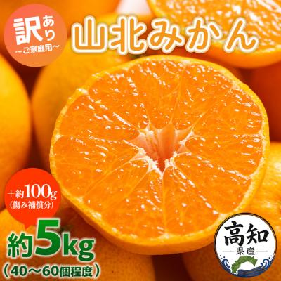 ふるさと納税 香南市 みかん小玉大玉混合3kg 温州みかん 訳あり 家庭用 山北 約5kg yk-0076