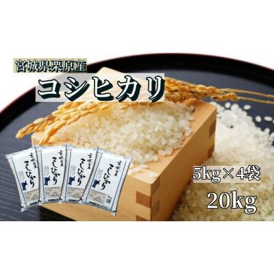 ふるさと納税 栗原市 【令和7年産】宮城栗原産 コシヒカリ 白米20kg (5kg×4袋)