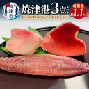 【ふるさと納税】 まぐろ かつお セット 魚 鮪 鰹 約1.1kg 冷凍 ミナミマグロ ビンナガ 焼津 焼津港3点セット a23-023