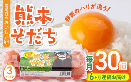 【全6回定期便】熊本そだち おいしいたまご 30個入り ( 10個入り × 3パック ) 山都町卵 熊本県産卵 卵 新鮮卵 高品質卵 卵 小分け卵 卵焼き パック卵 高評価卵 美味しい卵 笑顔の卵 卵