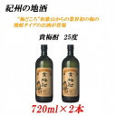 【ふるさと納税】紀州の地酒 貴梅酎 きばいちゅう 25度 720ml×2本 | 和歌山県 和歌山 九度山町 ふるさと 納税 楽天ふるさと 支援 支援品 返礼品 お礼の品 名産 名産品 特産 特産品 九度山 和歌山県九度山町 酒 お酒 梅酒 地酒 お取り寄せ 取り寄せ アルコール飲料