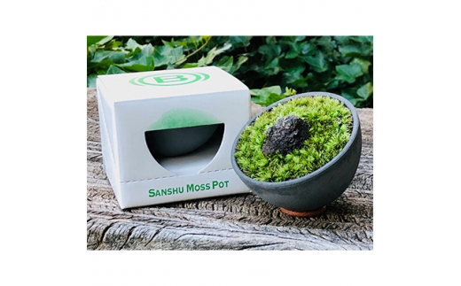 
三州モスポット(sanshu moss pot) 【1093948】
