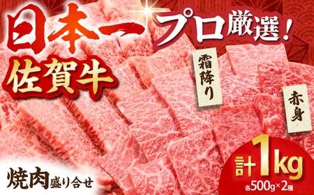 【2度の農林水産大臣賞】佐賀牛 焼肉 盛り合わせ 1.0kg（霜降り・赤身 各500g）【田中畜産牛肉店】黒毛和牛 バーベキュー BBQ[HBH062] 佐賀牛 牛肉 黒毛和牛 佐賀牛 牛肉 和牛 佐賀牛 牛肉 冷凍 佐賀牛 牛肉 冷凍発送 佐賀牛 牛肉 冷凍配送