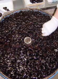 おたふく豆 600g 1箱 | そら豆 お茶請け 煮豆 和菓子 健康 茶の湯 箸休め 長野県 飯田市 信州