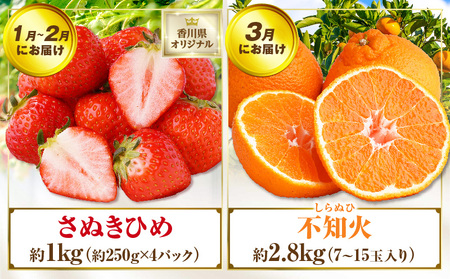 さぬき旬のフルーツ満足 5回定期便 | 果物 フルーツ 青果 青果物 いちご みかん シャインマスカット びわ さぬきひめ 小原紅早生みかん マスカット なつたより 不知火 旬の果物 季節の果物 贈答