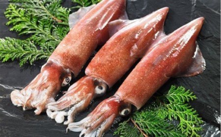 白いかフライ 120g×3枚入り いか