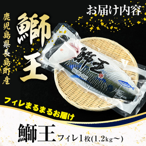 <数量限定>【2025年12月24日発送】『旅サラダ』で紹介ぶりの王様「 鰤王 」 フィレ 半身 (約1.5kg・フィレ1枚) 産地直送 新鮮 旨味が抜群の 長島町 特産品 ブランド ぶり 鰤 ブリ