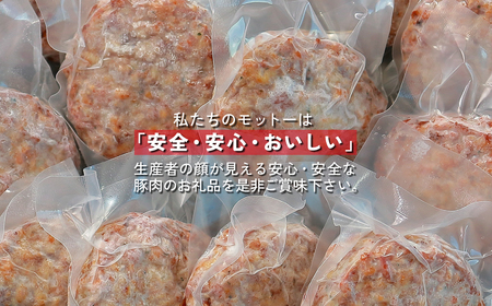 千葉県香取市産三元豚　フランクバーグ(フランクハンバーグ)1.2kg(100g×12個)  KTRCH005 / 三元豚 ハンバーグ はんばーぐ 小分け 個包装 個別 個別包装 湯せん 電子レンジ 味