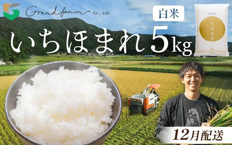 【先行予約】令和8年産 新米 いちほまれ 白米 5kg 【2026年12月以降発送】 白米 5キロ [m46-a005_12]