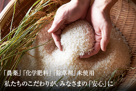 【数量限定！お試し寄附額】栽培期間中農薬不使用 精米5kg にじのきらめき 