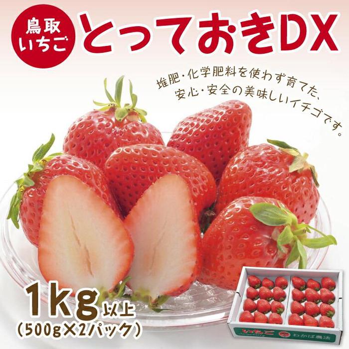 【ふるさと納税】とっておきDX 1kg 鳥取いちご【とみハウス】 | 果物 フルーツ 苺 イチゴ あきひめ 章姫 食品 人気 送料無料 期間限定 鳥取市 鳥取県