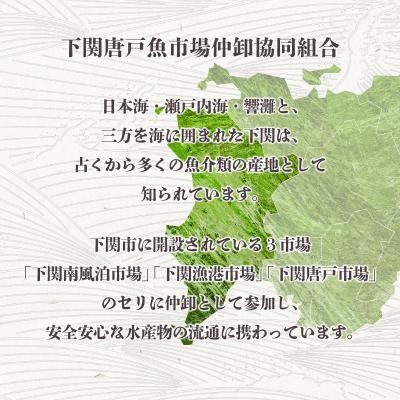 ふるさと納税 下関市 あんこう 鮟鱇 唐揚げ 揚げ 高級 魚 冷凍 500g 揚げるだけ 簡単 山口 下関 EY005 |  | 03