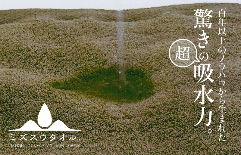 【驚きの吸水力】ミズスウタオル バスタオル 2枚 ブラウン【スピード発送 泉州タオル 国産 吸水 普段使い シンプル 日用品 家族 ファミリー】 099H2283