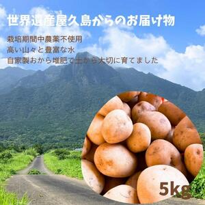 【2025年3月上旬頃から発送】屋久島産 じゃがいも 5kg＜農薬不使用＞