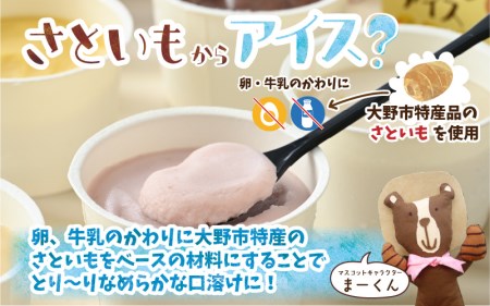 みんなのアイス 12個セット（ 卵・牛乳・小麦等アレルギー特定原材料8品目不使用のアイス ） [A-031004]