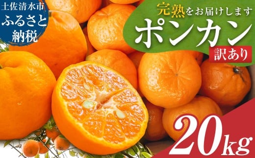 【令和８年発送　訳あり】ぽんかん20kg（オレンジ園）20キロ  デコポンの親 みかん ミカン 果物 果実 柑橘 フルーツ おやつ デザート ジューシー 甘い 美味しい 健康 家庭用 国産【R01082】