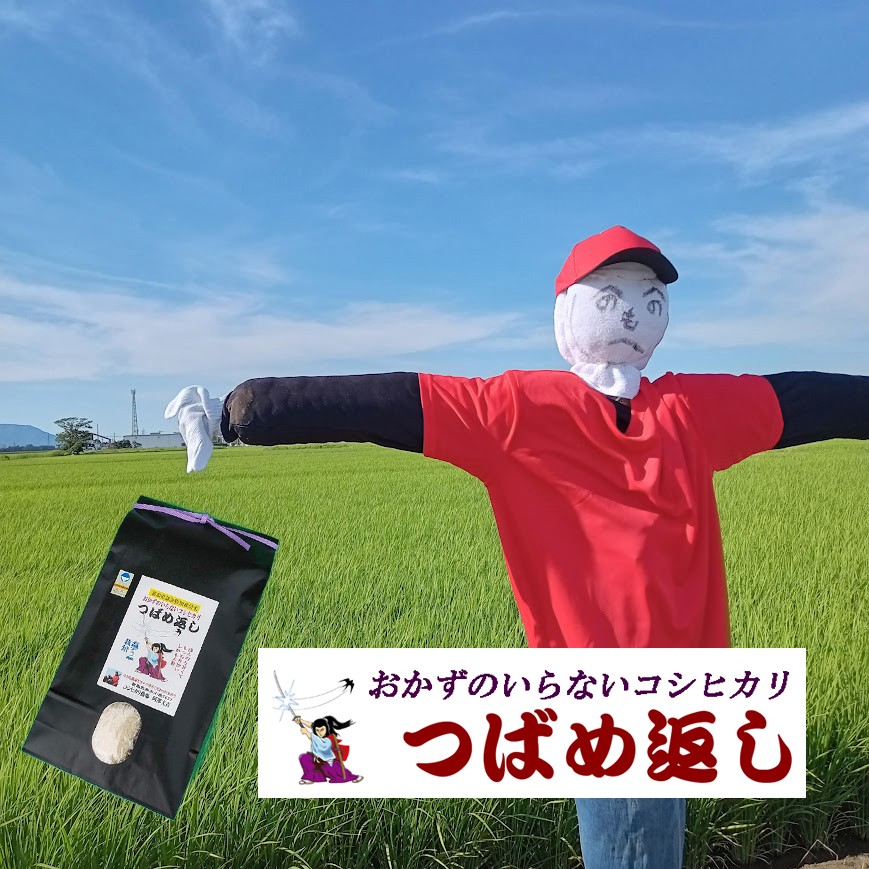 
                  【令和8年産米予約受付中】おかずのいらないコシヒカリ「つばめ返し」白米5kg FC015014
                