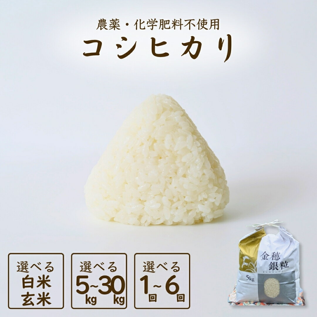 【ふるさと納税】【先行予約】令和7年産 新米 コシヒカリ 選べる容量 5kg〜30kg 白米 / 玄米 / 単品 / 定期便 | 無農薬 農薬不使用 化学肥料不使用 精米 玄米 お米 米 こめ コメ 福島産 福島県産 南相馬 みさき未来