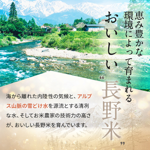 【令和8年産先行予約】コシヒカリ 玄米 約10kg | ニチカ農園