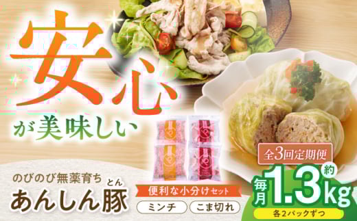 【3回定期便】あんしん豚 バラ凍結 ミンチ＆小間セット 豚肉 小分け 国産 白川町 / 藤井ファーム [AWAF019]