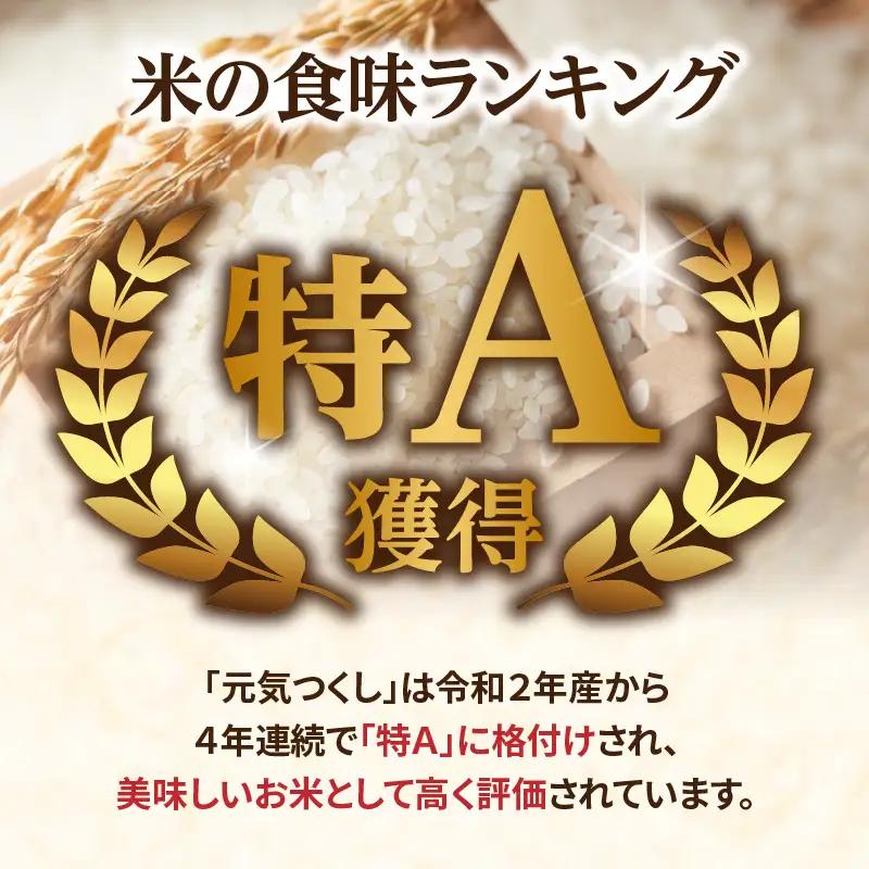 九州・福岡からお届け！ブランド米「元気つくし」定期便 10kg(5㎏×2)【全3回】 お米 米 コメ 白米 特A 直送 お弁当 おにぎり 炊きたて ツヤ 粘り もちもち 弾力 卵かけご飯 福岡県 八女