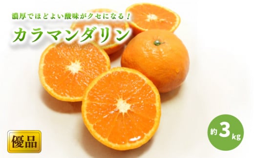 【2026年4月上旬から発送予定】カラマンダリン 家庭用(優品) 約3kg （ 愛媛産 愛媛県産 国産 愛媛みかん 愛媛蜜柑 愛媛ミカン みかん ミカン mikan 蜜柑 柑橘 フルーツ 果物 くだもの お取り寄せ 産地直送 数量限定 人気 おすすめ 愛媛県 松山市 送料無料 ）