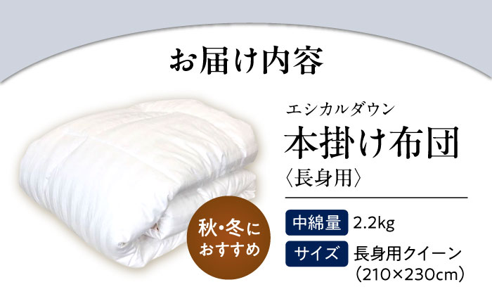 《日本製》 洗える 人工羽毛 掛け布団 長身用クイーン エントリーモデル 広島県福山市/イシケン株式会社 羽毛ふとん 掛けふとん 日本製  秋 冬 寝具 アレルギー対策 [BAAK008]