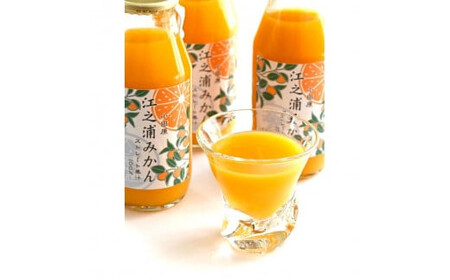 定期便（2カ月ごと全4回）小田原産江之浦みかん１００％ストレートジュース５００ml１２本【 神奈川県 小田原市 】