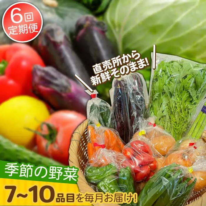 【6回定期便】直売所より発送！季節の野菜セット 7?10品目 / 野菜定期便 / ながさき南部生産組合 [SBW004]