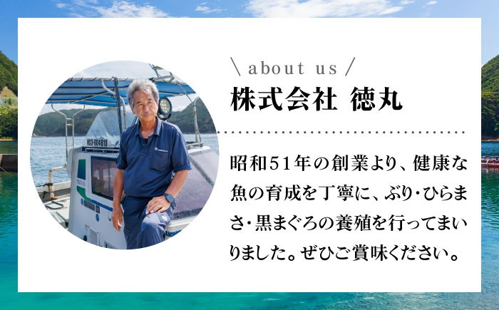 ぶり ブリ 鰤 ぶりしゃぶ しゃぶしゃぶ 刺身 鮮魚 海鮮 魚 五島 上五島 五島列島 鍋 年末 正月 年内発送 年内配送