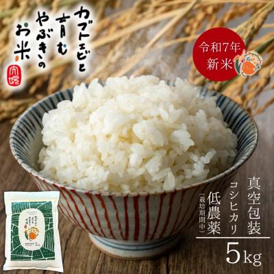 ふるさと納税 矢吹町 令和7年産米【真空包装】カブトエビと育む、栽培期間中農薬を減らしたやぶきのお米 コシヒカリ 5kg