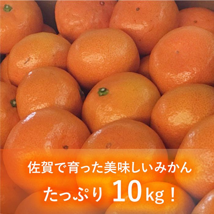 【10月上旬頃〜1月上旬発送】こたつで美味しいみかんを♪ 佐賀県産 中生みかん 10kg 吉野ヶ里町/リエンサーク [FCC009]