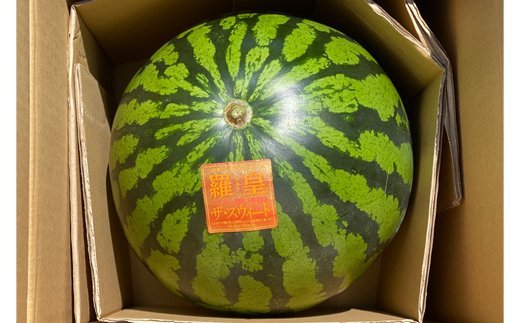 スイカ (特大玉) 羅王 1玉｜青森産 産直 2025年産 令和7年 夏 すいか 西瓜 果物 フルーツ 旬 特産 藤農園 農福連携 ラオウ らおう 羅皇 先行受付 [0835]