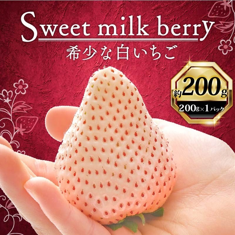 
            いちご 白いちご 計 200g 計 1 パック 高級 白 イチゴ 苺 セット Sweet milk berry  1 パック 200g × 1 パック フルーツ プレゼント ギフト 贅沢 ご褒美 果実 白 苺 果物 ストロベリー スイーツ デザート 産地直送 国産 スイーツ デザート くだもの イチゴ 果物 贈答用 ギフト 畠農宝 静岡県 牧之原市
          
