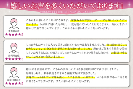 甲州放牧卵の定期便 18個×10回　F-503【卵 たまご 放牧卵 たまご 人気 卵 定期便 卵 たまご 新鮮 たまごかけご飯 卵 たまご すき焼き 鶏卵 国産 玉子 卵 たまご 贈答 卵 たまご】