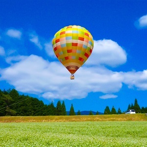 ＜玄米＞佐賀東与賀産シギの恩返し米（特別栽培米夢しずく）10kg：B270-012