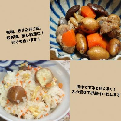 ふるさと納税 むつ市 スーパーフード 糖度30度あま〜いアピオス(生)450g |  | 03