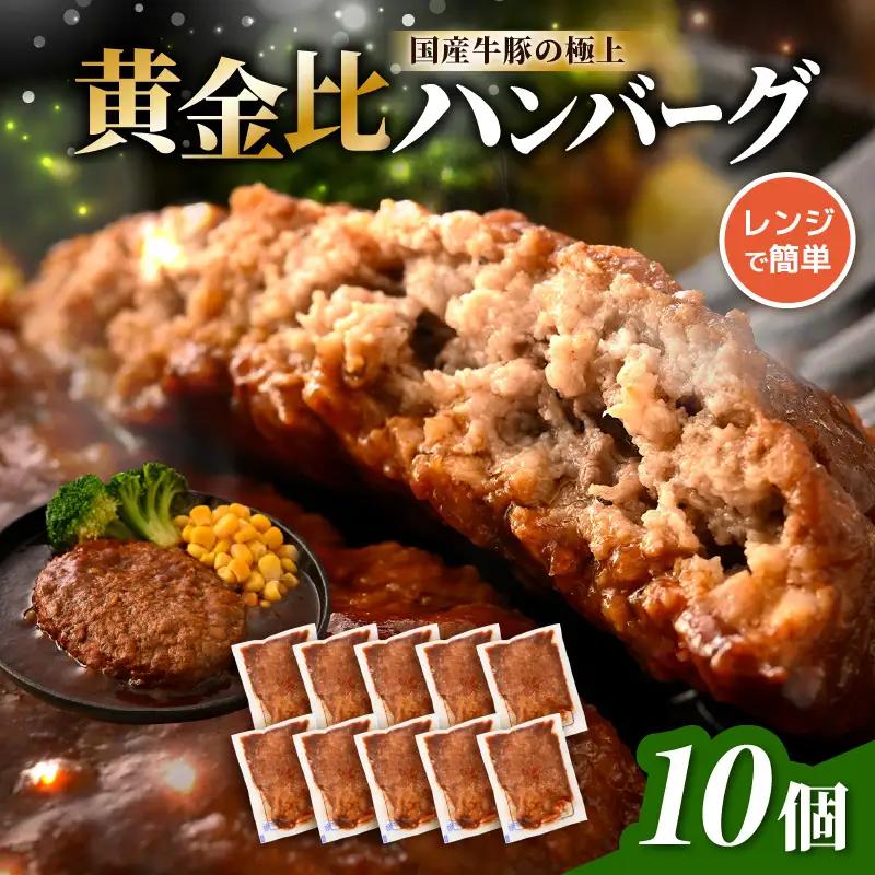 デミグラスハンバーグ 10個入り 簡単調理 ハンバーグ [A-0587]