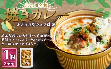 【カレー】 ぶどうの樹 シェフ特製 選べるパスタ・グラタン1個 焼きカレー カレー カレーライス 冷凍カレー 薬膳カレー 冷凍 福岡県 岡垣町
