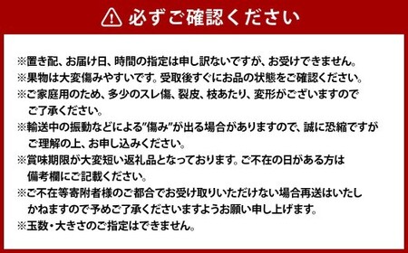 《ご家庭用》おかやまの桃 7～9玉（約1.8kg） もも 桃 岡山県産 国産 フルーツ スイーツ 大玉 果肉 美味しい 甘い 柔らかい 岡山県 倉敷市【2026年7月上旬～8月下旬迄順次発送予定】