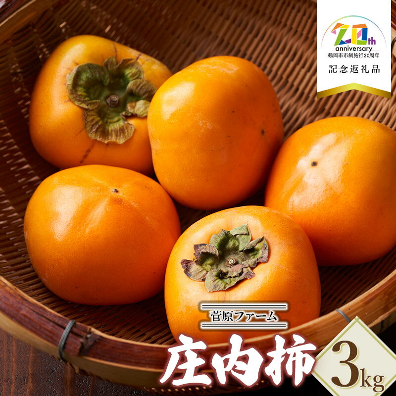 【ふるさと納税】【令和7年産先行予約】 庄内柿 約3kg　【市制施行20周年記念返礼品】 菅原ファーム